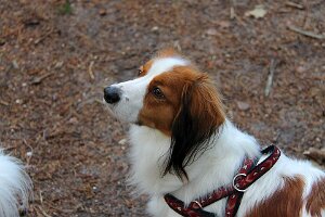 IMG_064