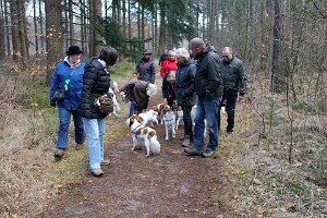 IMG_068