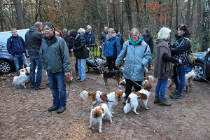 IMG_070