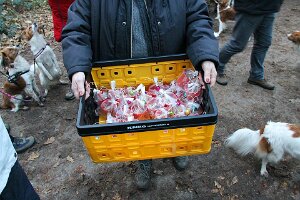 IMG_078