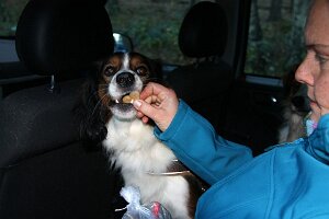 IMG_081
