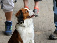 IMG 2457