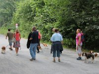 IMG 2550