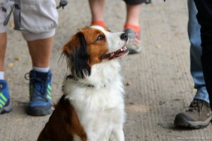 IMG_2457