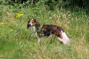 IMG_2469