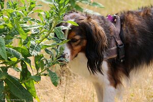 IMG_2479