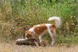 IMG_2486