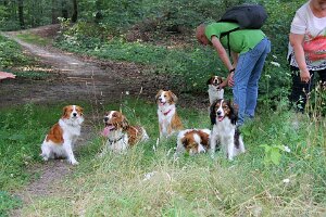 IMG_2506