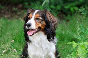 IMG_2520