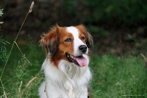 IMG_2521