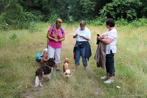 IMG_2526
