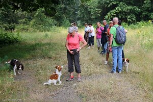 IMG_2535