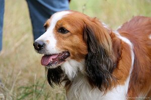 IMG_2540