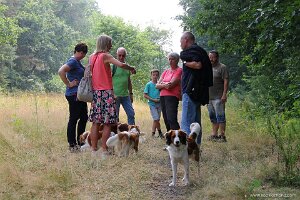 IMG_2548