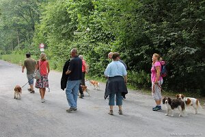 IMG_2550